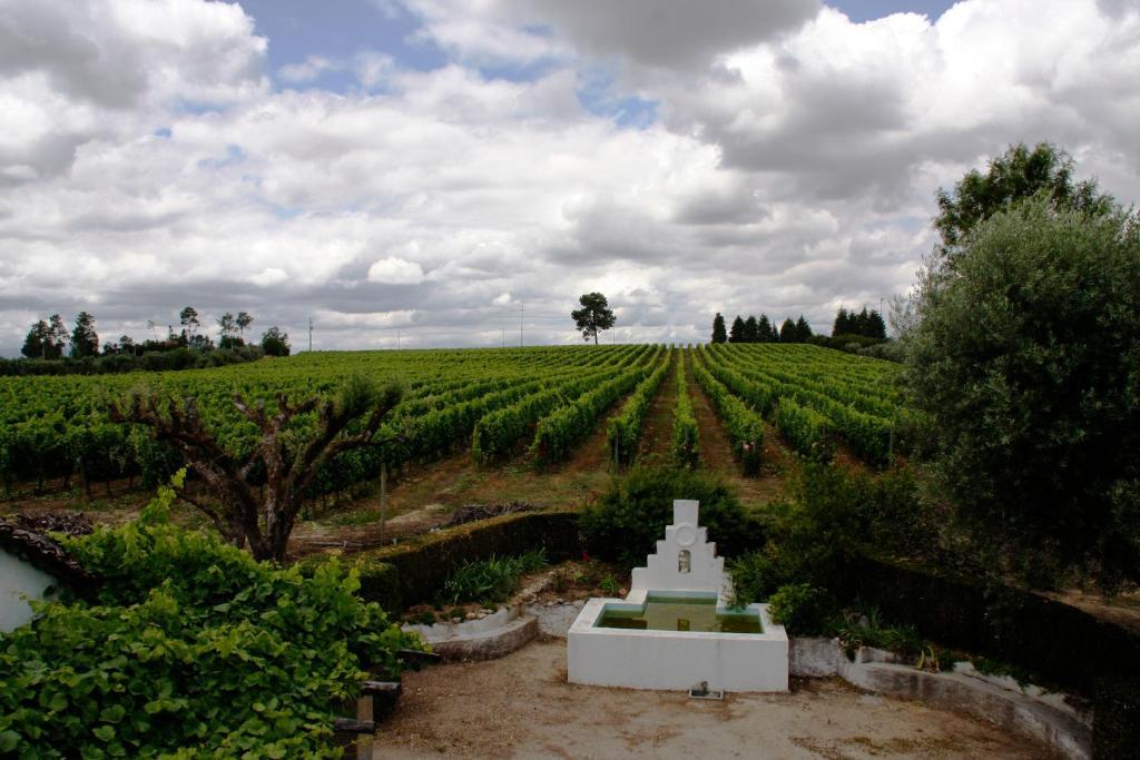 Villa Quinta Da Fata Nelas Exterior foto